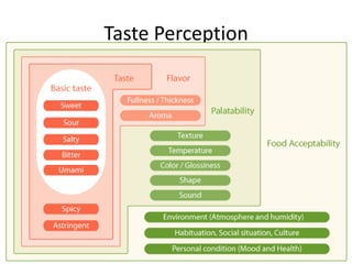 Taste Perception
 