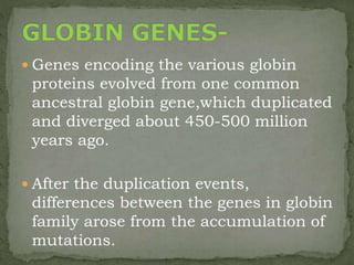  Genes encoding the various globin
proteins evolved from one common
ancestral globin gene,which duplicated
and diverged about 450-500 million
years ago.
 After the duplication events,
differences between the genes in globin
family arose from the accumulation of
mutations.
 