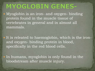  Myoglobin is an iron- and oxygen- binding
protein found in the muscle tissue of
vertebrates in general and in almost all
mammals.
 It is releated to haemoglobin, which is the iron-
and oxygen- binding protein in blood,
specifically in the red blood cells.
 In humans, myoglobin is only found in the
bloodstream after muscle injury.
 