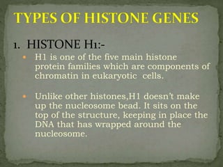 1. HISTONE H1:-
 H1 is one of the five main histone
protein families which are components of
chromatin in eukaryotic cells.
 Unlike other histones,H1 doesn’t make
up the nucleosome bead. It sits on the
top of the structure, keeping in place the
DNA that has wrapped around the
nucleosome.
 