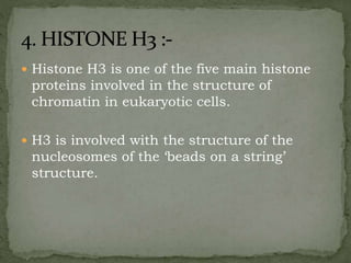  Histone H3 is one of the five main histone
proteins involved in the structure of
chromatin in eukaryotic cells.
 H3 is involved with the structure of the
nucleosomes of the ‘beads on a string’
structure.
 