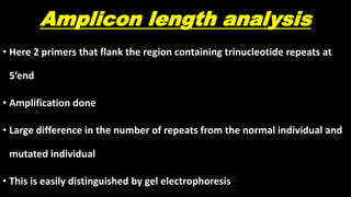 Amplicon length analysis
• Here 2 primers that flank the region containing trinucleotide repeats at
5’end
• Amplification done
• Large difference in the number of repeats from the normal individual and
mutated individual
• This is easily distinguished by gel electrophoresis
 