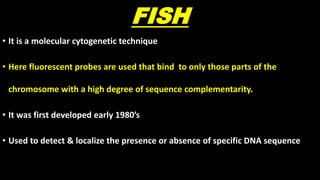 FISH
• It is a molecular cytogenetic technique
• Here fluorescent probes are used that bind to only those parts of the
chromosome with a high degree of sequence complementarity.
• It was first developed early 1980’s
• Used to detect & localize the presence or absence of specific DNA sequence
 