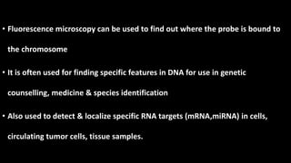 • Fluorescence microscopy can be used to find out where the probe is bound to
the chromosome
• It is often used for finding specific features in DNA for use in genetic
counselling, medicine & species identification
• Also used to detect & localize specific RNA targets (mRNA,miRNA) in cells,
circulating tumor cells, tissue samples.
 