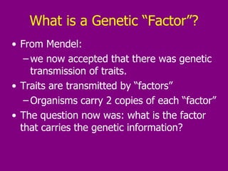 What is a Genetic “Factor”? From Mendel: we now accepted that there was genetic transmission of traits. Traits are transmitted by “factors” Organisms carry 2 copies of each “factor” The question now was: what is the factor that carries the genetic information?  
