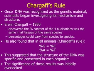 Chargaff’s Rule   Once  DNA was recognized as the genetic material, scientists began investigating its mechanism and structure.  Erwin Chargaff – 1950  discovered the % content of the 4 nucleotides was the same in all tissues of the same species percentages could vary from species to species. He also found that in all animals (Chargaff’s rule):  %G = %C %A = %T This suggested that the structure of the DNA was specific and conserved in each organism.  The significance of these results was initially overlooked 