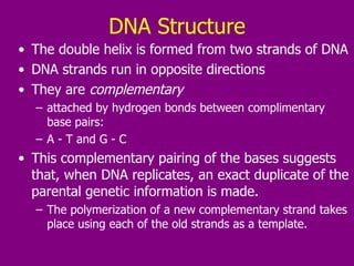 DNA Structure The double helix is formed from two strands of DNA  DNA strands run in opposite directions  They are  complementary attached by hydrogen bonds between complimentary base pairs:  A - T and G - C  This complementary pairing of the bases suggests that, when DNA replicates, an exact duplicate of the parental genetic information is made.  The polymerization of a new complementary strand takes place using each of the old strands as a template.  