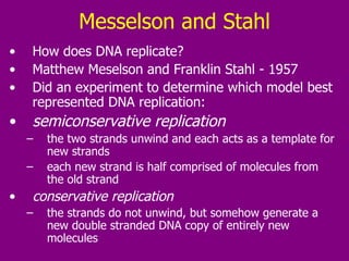 Messelson and Stahl How does DNA replicate? Matthew Meselson and Franklin Stahl - 1957 Did an experiment to determine which model best represented DNA replication:  semiconservative replication   the two strands unwind and each acts as a template for new strands each new strand is half comprised of molecules from the old strand conservative replication   the strands do not unwind, but somehow generate a new double stranded DNA copy of entirely new molecules 
