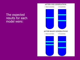 The expected results for each model were: 
