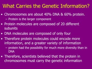 What Carries the Genetic Information? Chromosomes are about 40% DNA & 60% protein.  Protein is the larger component Protein molecules are composed of 20 different subunits DNA molecules are composed of only four Therefore protein molecules could encode more information, and a greater variety of information protein had the possibility for much more diversity than in DNA  Therefore, scientists believed that the protein in chromosomes must carry the genetic information 