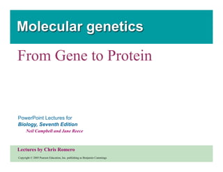 Molecular genetics.ppt