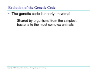 Evolution of the Genetic Code
•  The genetic code is nearly universal
–  Shared by organisms from the simplest
bacteria to the most complex animals

Copyright © 2005 Pearson Education, Inc. publishing as Benjamin Cummings

 