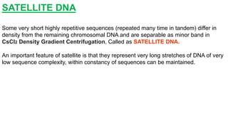 SATELLITE DNA
Some very short highly repetitive sequences (repeated many time in tandem) differ in
density from the remaining chromosomal DNA and are separable as minor band in
CsCl2 Density Gradient Centrifugation, Called as SATELLITE DNA.
An important feature of satellite is that they represent very long stretches of DNA of very
low sequence complexity, within constancy of sequences can be maintained.
 