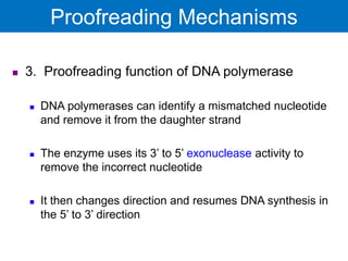 Genetics: DNA replication or Replication of Genetic Material | DNA ...
