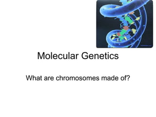 Molecular Genetics
What are chromosomes made of?
 