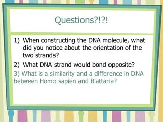 Questions?!?!
1) When constructing the DNA molecule, what
did you notice about the orientation of the
two strands?
2) What DNA strand would bond opposite?
3) What is a similarity and a difference in DNA
between Homo sapien and Blattaria?
 