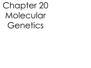Chapter 20
Molecular
Genetics
 
