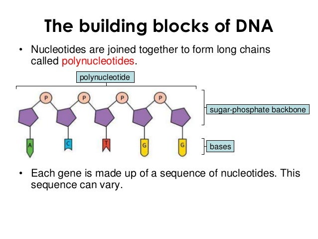 Molecular genetics 1 win q