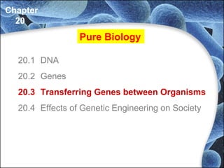20.1 DNA
20.2 Genes
20.3 Transferring Genes between Organisms
20.4 Effects of Genetic Engineering on Society
Chapter
20
Pure Biology
 