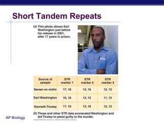 AP Biology
Short Tandem Repeats
 