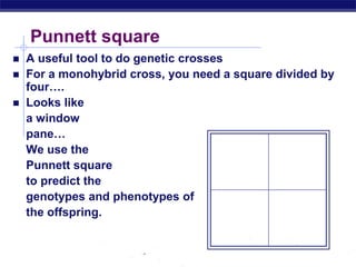 AP Biology
Punnett square
 A useful tool to do genetic crosses
 For a monohybrid cross, you need a square divided by
four….
 Looks like
a window
pane…
We use the
Punnett square
to predict the
genotypes and phenotypes of
the offspring.
 