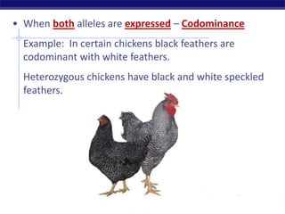 AP Biology
• When both alleles are expressed – Codominance
Example: In certain chickens black feathers are
codominant with white feathers.
Heterozygous chickens have black and white speckled
feathers.
 