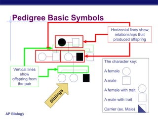 AP Biology
Pedigree Basic Symbols
Horizontal lines show
relationships that
produced offspring
Vertical lines
show
offspring from
the pair
The character key:
A female
A male
A female with trait
A male with trait
Carrier (ex. Male)
 
