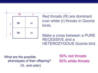 AP Biology
What are the possible
phenotypes of their offspring?
(% and color)
Red throats (R) are dominant
over white (r) throats in Goonie
birds.
Make a cross between a PURE
RECESSIVE and a
HETEROZYGOUS Goonie bird.
50% red throats
50% white throats
Rr rr
Rr rr
R r
r
r
 
