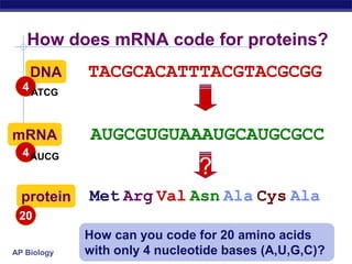 AP Biology
How does mRNA code for proteins?
TACGCACATTTACGTACGCGG
DNA
AUGCGUGUAAAUGCAUGCGCC
mRNA
Met Arg Val Asn Ala Cys Ala
protein
?
How can you code for 20 amino acids
with only 4 nucleotide bases (A,U,G,C)?
4
4
20
ATCG
AUCG
 