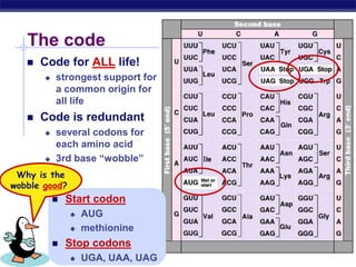 AP Biology
The code
 Code for ALL life!
 strongest support for
a common origin for
all life
 Code is redundant
 several codons for
each amino acid
 3rd base “wobble”
 Start codon
 AUG
 methionine
 Stop codons
 UGA, UAA, UAG
Why is the
wobble good?
 