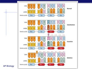 AP Biology
 