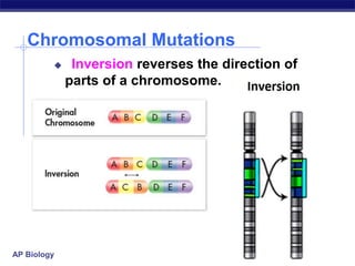 Molecular Genetics final.pptx
