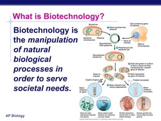 AP Biology
What is Biotechnology?
Biotechnology is
the manipulation
of natural
biological
processes in
order to serve
societal needs.
 