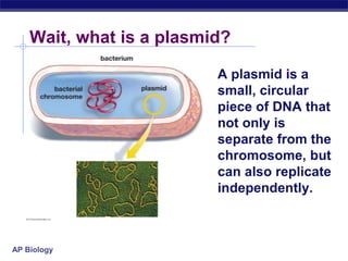 AP Biology
Wait, what is a plasmid?
A plasmid is a
small, circular
piece of DNA that
not only is
separate from the
chromosome, but
can also replicate
independently.
 