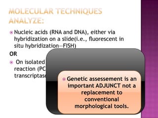  Nucleic acids (RNA and DNA), either via
hybridization on a slide(i.e., ﬂuorescent in
situ hybridization—FISH)
OR
 On isolated DNA or RNA via polymerase chain
reaction (PCR) techniques (i.e.,reverse
transcriptase PCR and quantitative PCR)It is MANDAOTORY that the results get
interpreted in context with morphology.
 Genetic assessement is an
important ADJUNCT not a
replacement to
conventional
morphological tools.
 