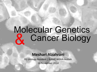 Molecular Genetics 
& Cancer Biology 
Meshari Alzahrani 
R1 Urology Resident | KAMC-NGHA-Jeddah 
16 November 2014 
 
