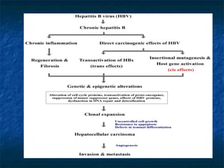 Molecular genetics of hepatocellular carcinoma : the future is now | PPT