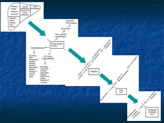 Molecular genetics of hepatocellular carcinoma : the future is now | PPT