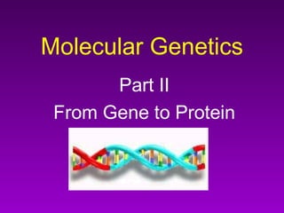 Molecular Genetics
       Part II
 From Gene to Protein
 