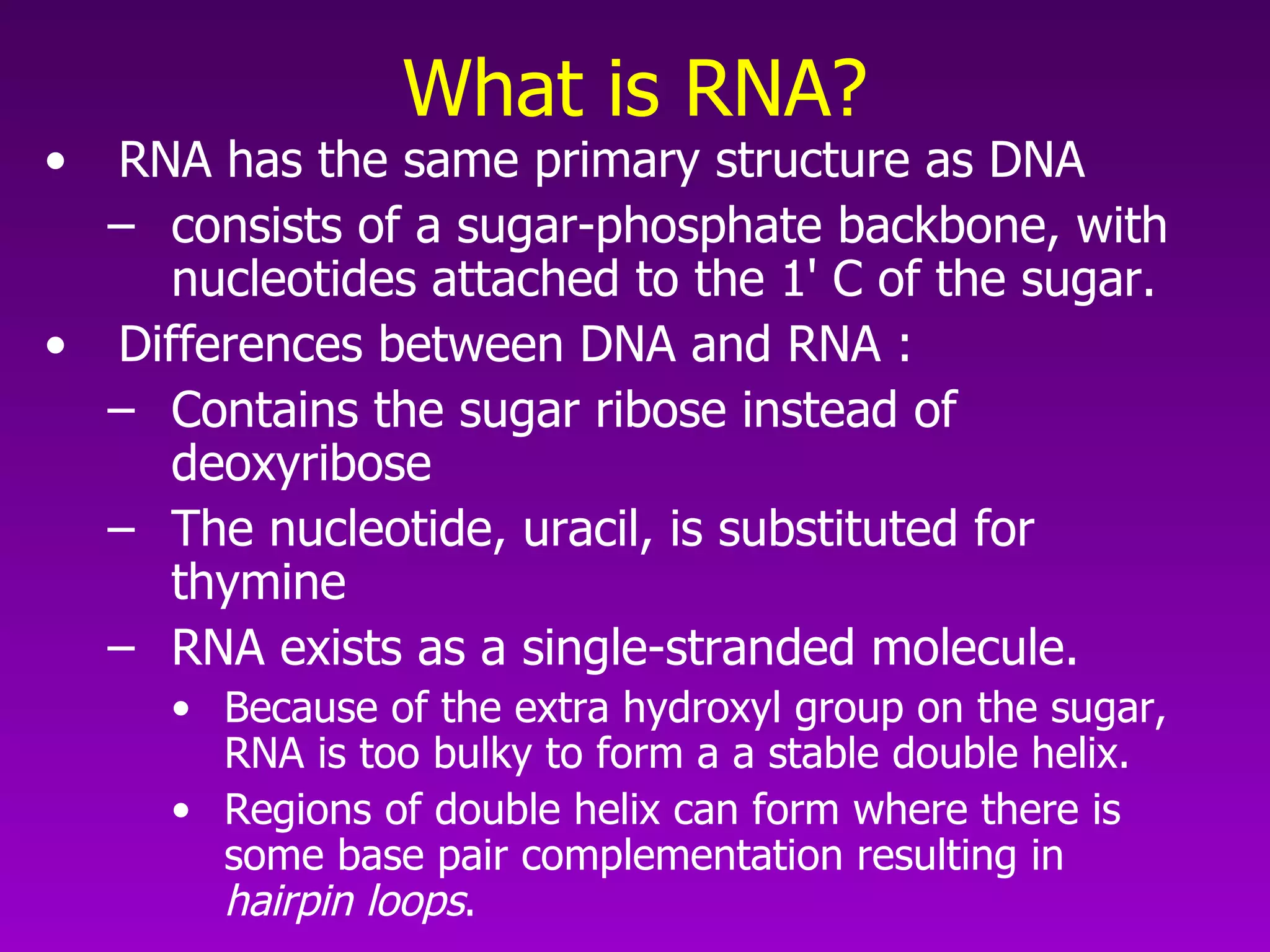 What is RNA? RNA has the same primary structure as DNA consists of a sugar-phosphate backbone, with nucleotides attached to the 1' C of the sugar. Differences between DNA and RNA :  Contains the sugar ribose instead of deoxyribose The nucleotide, uracil, is substituted for thymine  RNA exists as a single-stranded molecule. Because of the extra hydroxyl group on the sugar, RNA is too bulky to form a a stable double helix. Regions of double helix can form where there is some base pair complementation resulting in  hairpin loops .  
