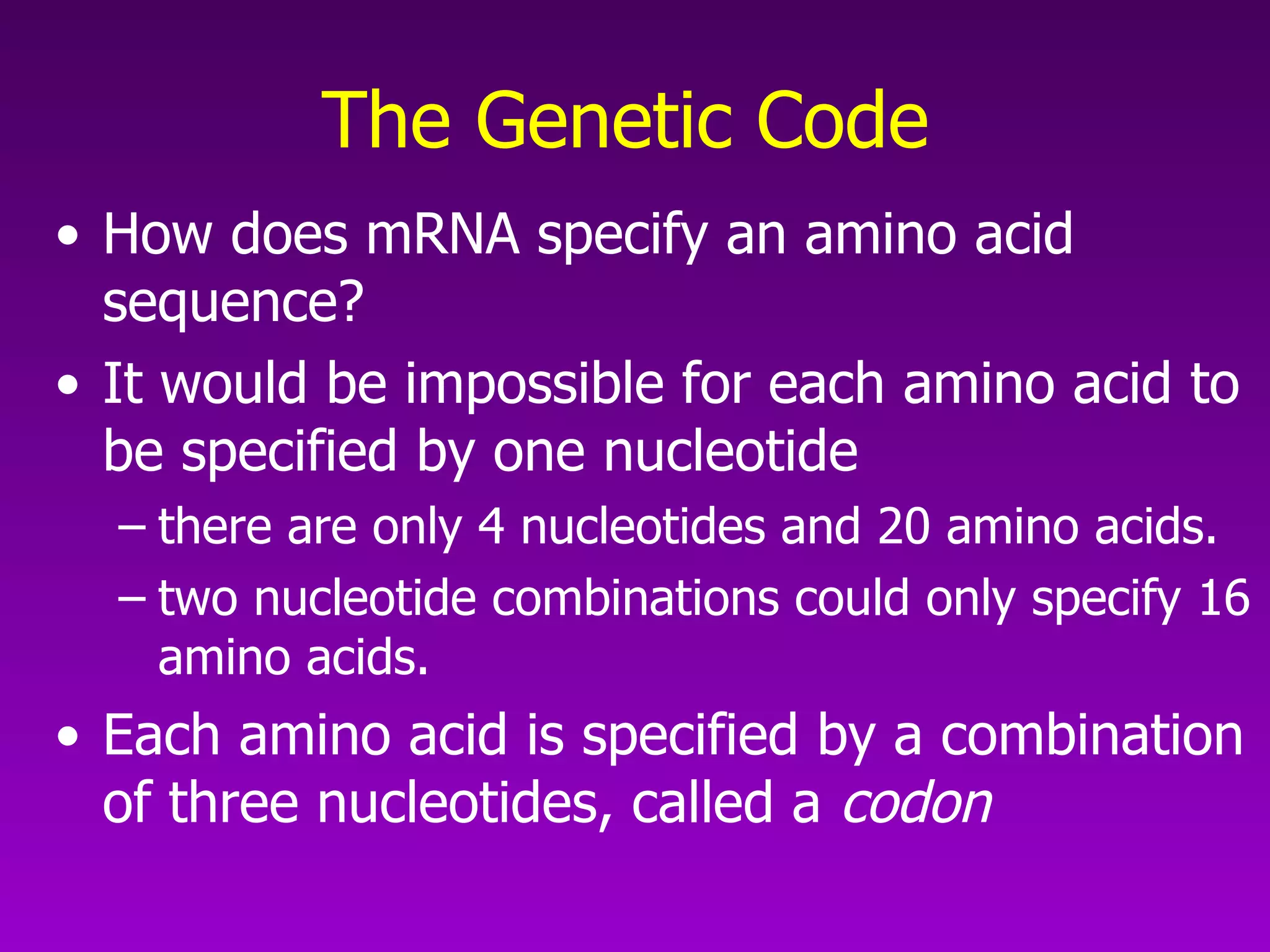 The Genetic Code   How does mRNA specify an amino acid sequence?  It would be impossible for each amino acid to be specified by one nucleotide  there are only 4 nucleotides and 20 amino acids.  two nucleotide combinations could only specify 16 amino acids.  Each amino acid is specified by a combination of three nucleotides, called a  codon   