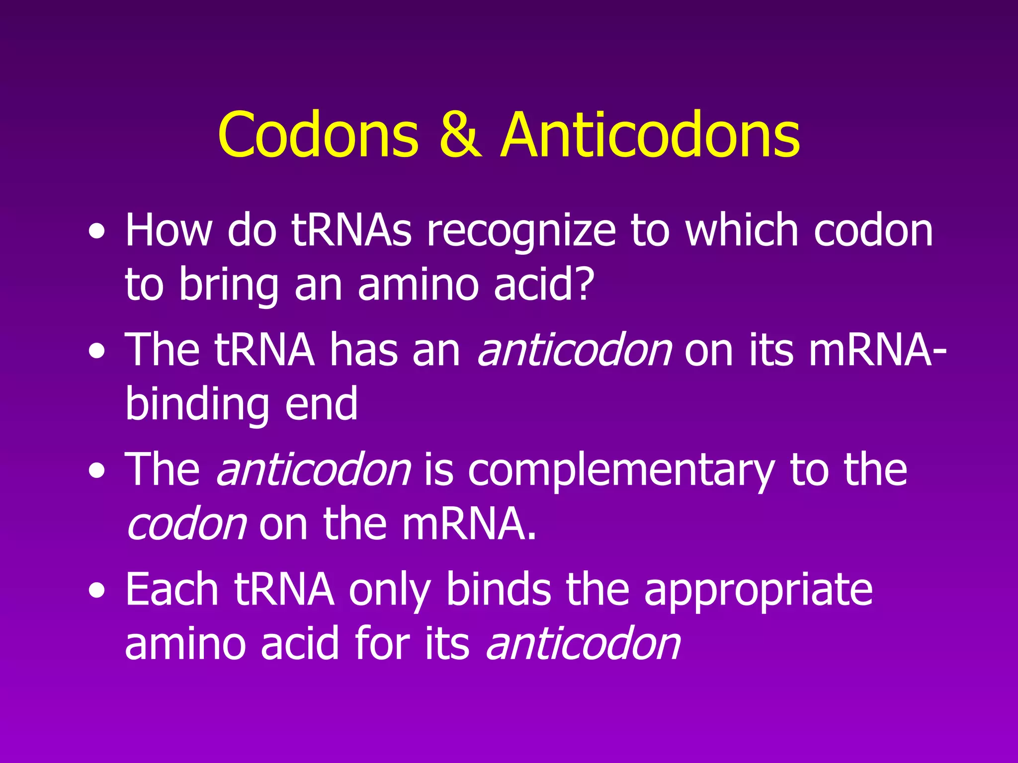 Codons & Anticodons How do tRNAs recognize to which codon to bring an amino acid?  The tRNA has an  anticodon  on its mRNA-binding end  The  anticodon  is complementary to the  codon  on the mRNA.  Each tRNA only binds the appropriate amino acid for its  anticodon   