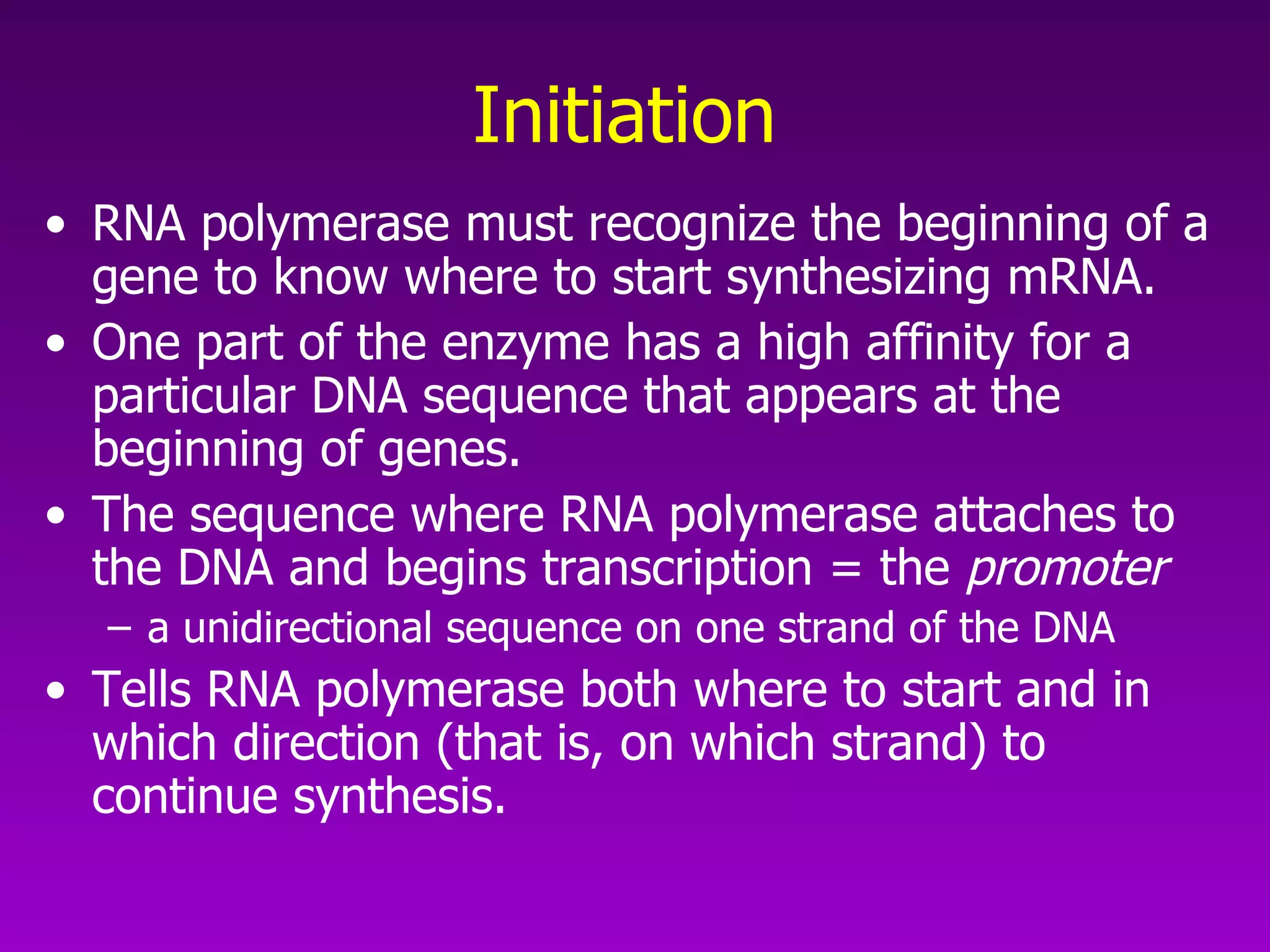 Initiation RNA polymerase must recognize the beginning of a gene to know where to start synthesizing mRNA.  One part of the enzyme has a high affinity for a particular DNA sequence that appears at the beginning of genes. The sequence where RNA polymerase attaches to the DNA and begins transcription = the  promoter a unidirectional sequence on one strand of the DNA  Tells RNA polymerase both where to start and in which direction (that is, on which strand) to continue synthesis.   