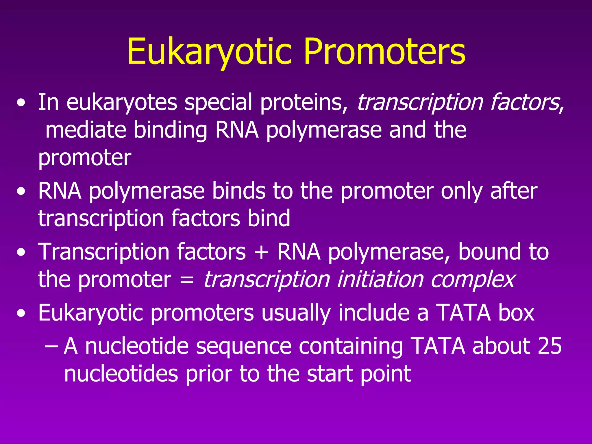 Eukaryotic Promoters In eukaryotes special proteins,  transcription factors ,  mediate binding RNA polymerase and the promoter RNA polymerase binds to the promoter only after transcription factors bind Transcription factors + RNA polymerase, bound to the promoter =  transcription initiation complex Eukaryotic promoters usually include a TATA box A nucleotide sequence containing TATA about 25 nucleotides prior to the start point 