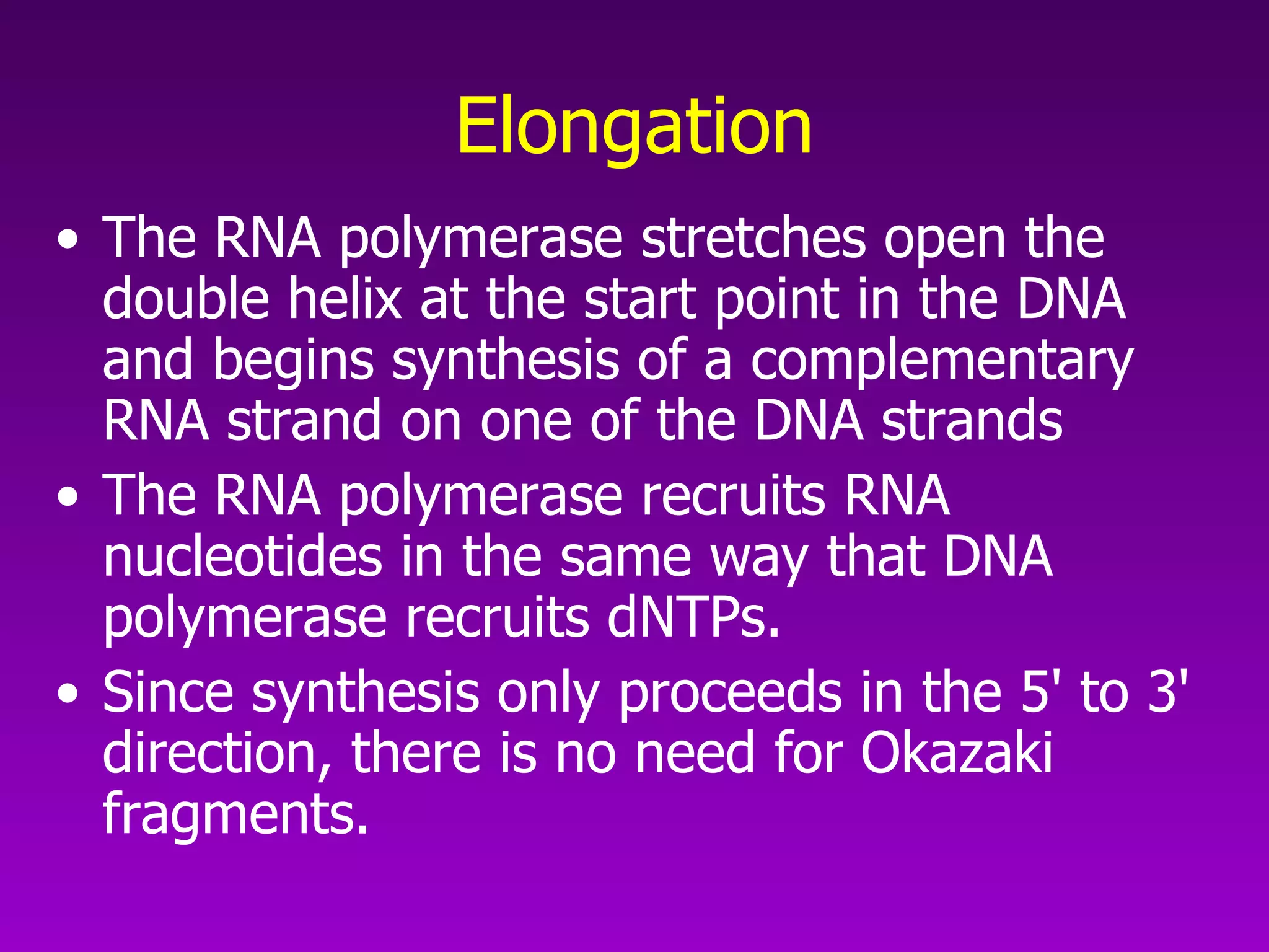 Elongation The RNA polymerase stretches open the double helix at the start point in the DNA and begins synthesis of a complementary RNA strand on one of the DNA strands The RNA polymerase recruits RNA nucleotides in the same way that DNA polymerase recruits dNTPs.  Since synthesis only proceeds in the 5' to 3' direction, there is no need for Okazaki fragments.  