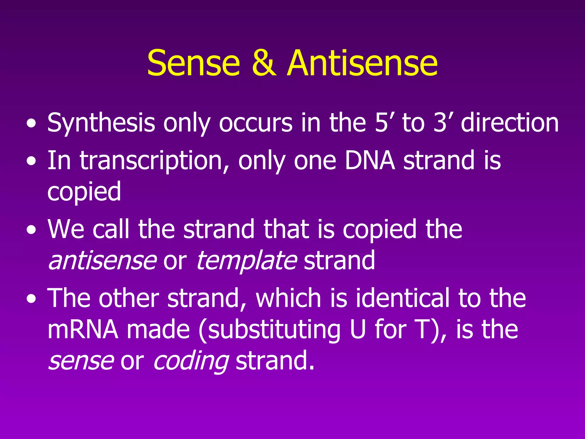 Sense & Antisense Synthesis only occurs in the 5’ to 3’ direction In transcription, only one DNA strand is copied We call the strand that is copied the  antisense  or  template  strand The other strand, which is identical to the mRNA made (substituting U for T), is the  sense  or  coding  strand.  