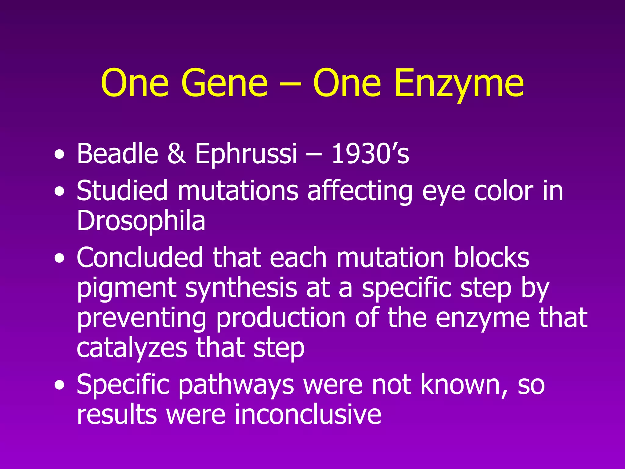One Gene – One Enzyme Beadle & Ephrussi – 1930’s Studied mutations affecting eye color in Drosophila  Concluded that each mutation blocks pigment synthesis at a specific step by preventing production of the enzyme that catalyzes that step Specific pathways were not known, so results were inconclusive 