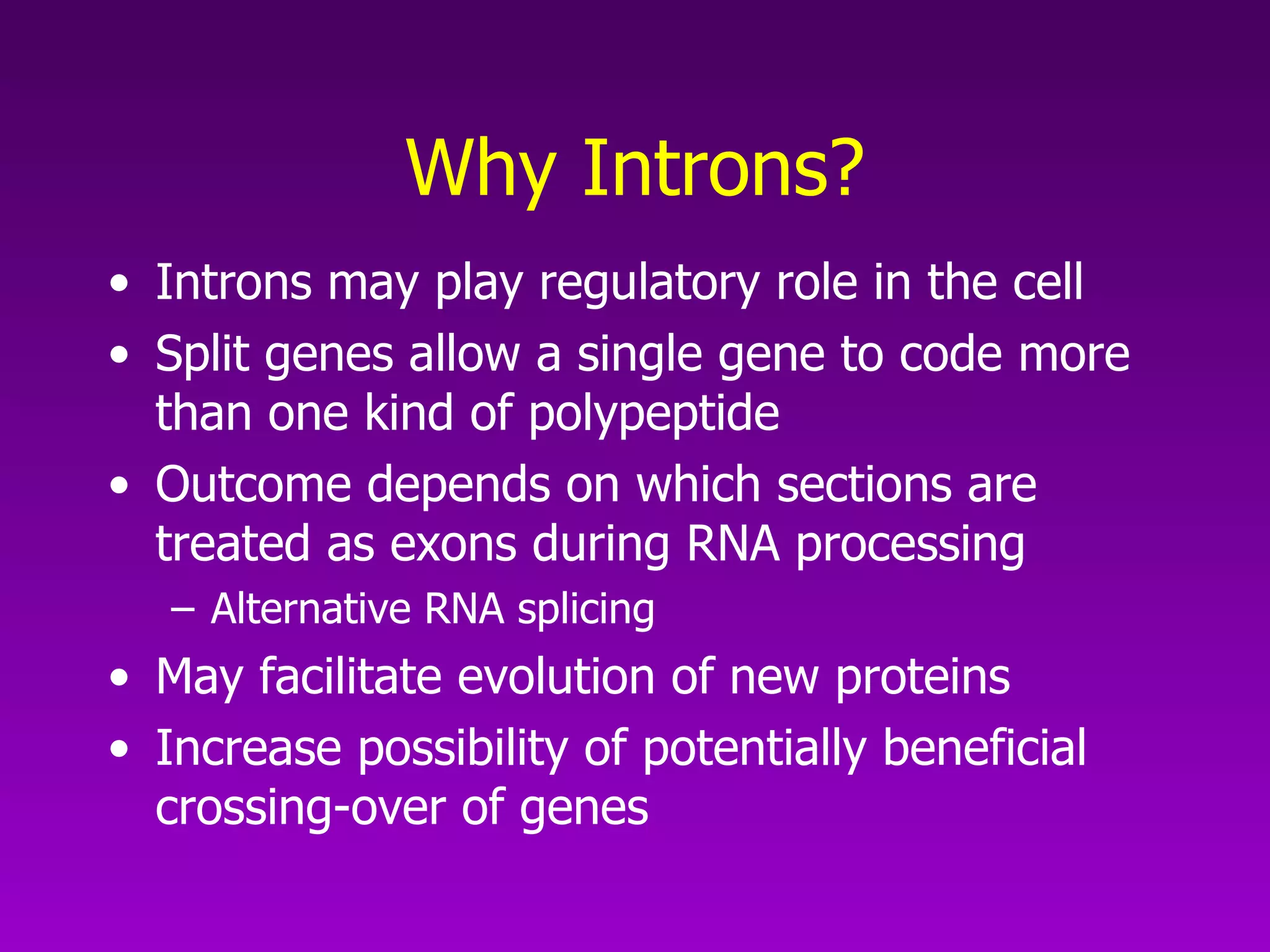 Why Introns? Introns may play regulatory role in the cell Split genes allow a single gene to code more than one kind of polypeptide Outcome depends on which sections are treated as exons during RNA processing Alternative RNA splicing May facilitate evolution of new proteins Increase possibility of potentially beneficial crossing-over of genes 