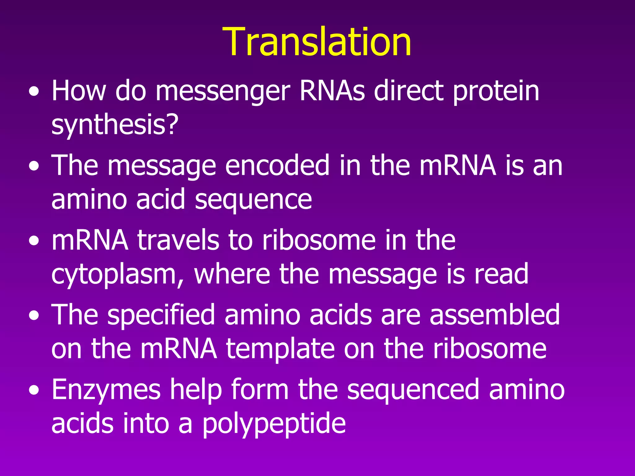 Translation How do messenger RNAs direct protein synthesis? The message encoded in the mRNA is an amino acid sequence mRNA travels to ribosome in the cytoplasm, where the message is read The specified amino acids are assembled on the mRNA template on the ribosome Enzymes help form the sequenced amino acids into a polypeptide 