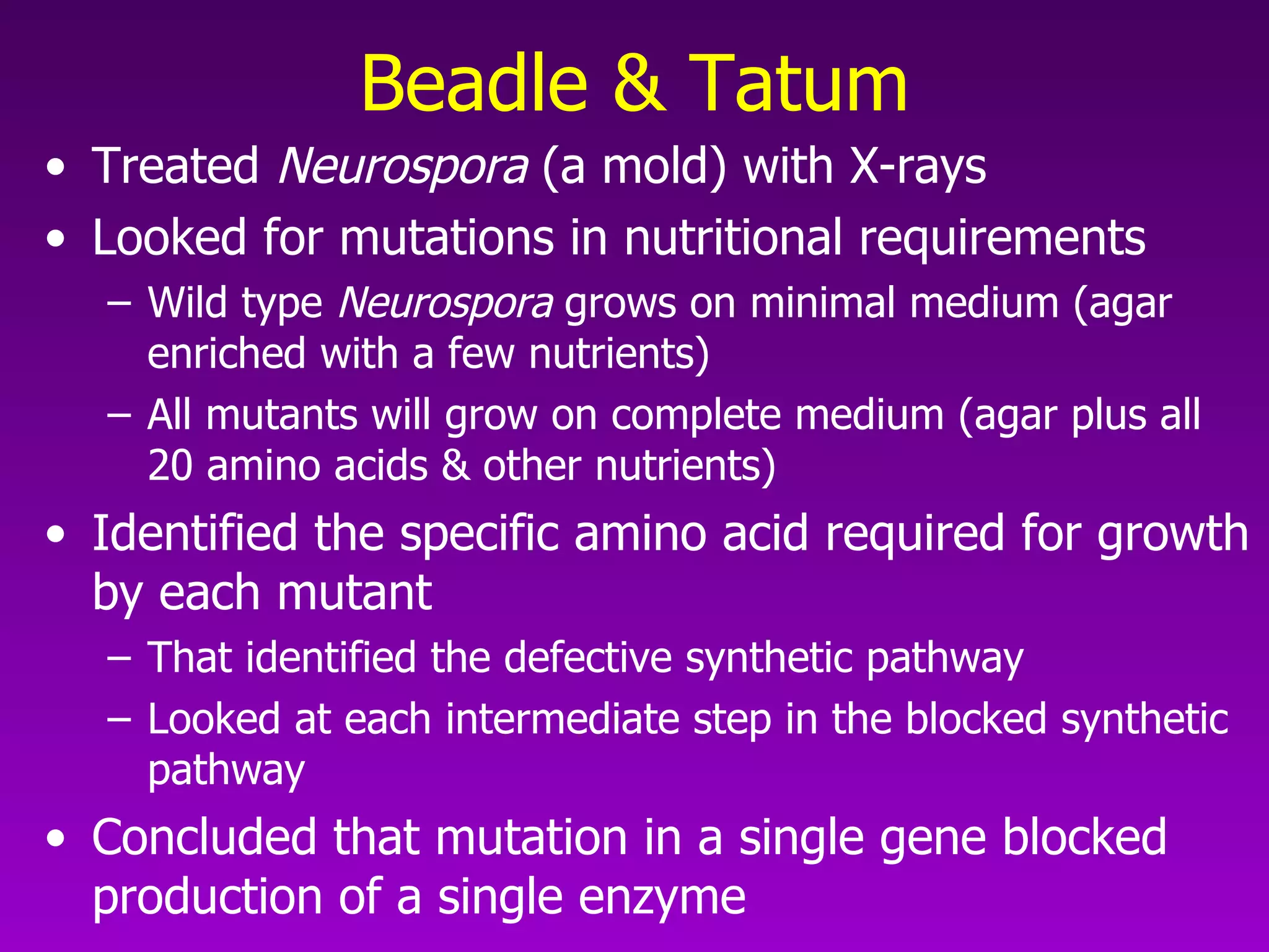 Beadle & Tatum Treated  Neurospora  (a mold) with X-rays Looked for mutations in nutritional requirements Wild type  Neurospora  grows on minimal medium (agar enriched with a few nutrients) All mutants will grow on complete medium (agar plus all 20 amino acids & other nutrients) Identified the specific amino acid required for growth by each mutant That identified the defective synthetic pathway Looked at each intermediate step in the blocked synthetic pathway Concluded that mutation in a single gene blocked production of a single enzyme 